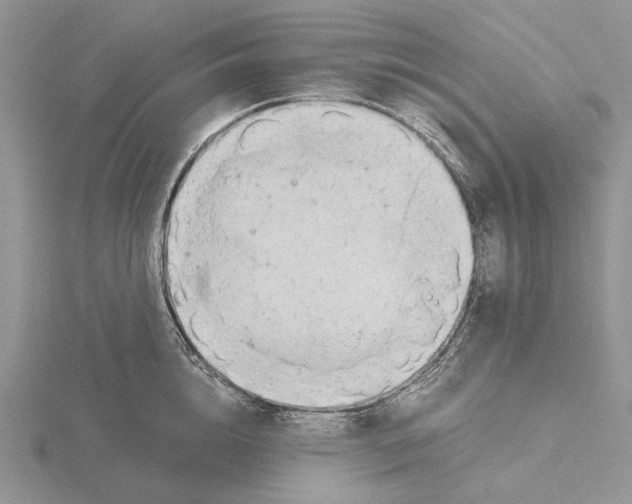 X0000115640856200912081103
