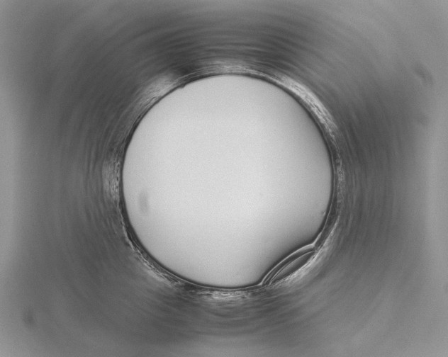 X0000115640857200912081103