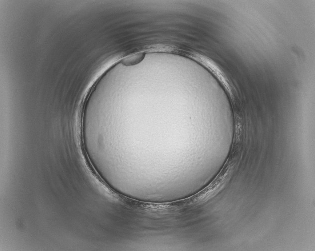 X0000115640859200912081103
