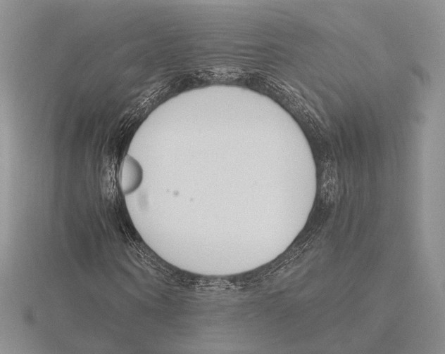 X0000115640866200912081102
