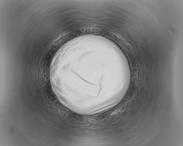 X0000115640870200912081102