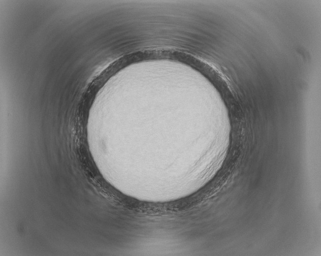 X0000115640871200912081102