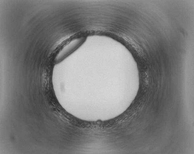 X0000115640872200912081102