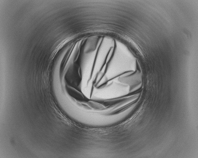 X0000115640874200912081102