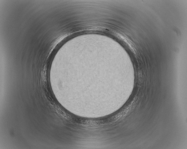 X0000115640875200912081102