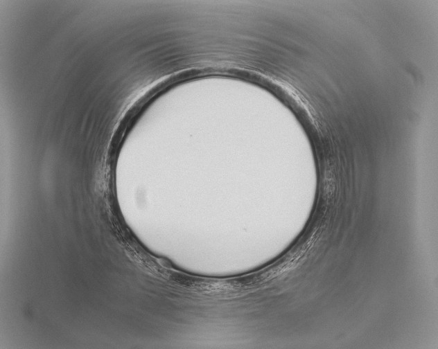 X0000115640879200912081102