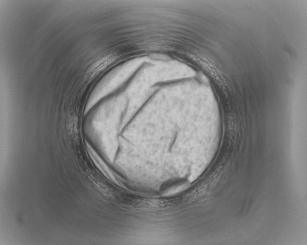 X0000115640881200912081102