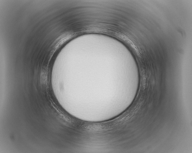 X0000115640882200912081102