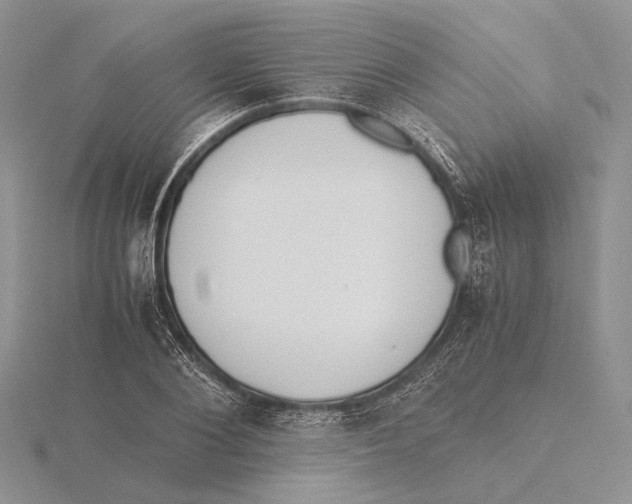 X0000115640884200912081102