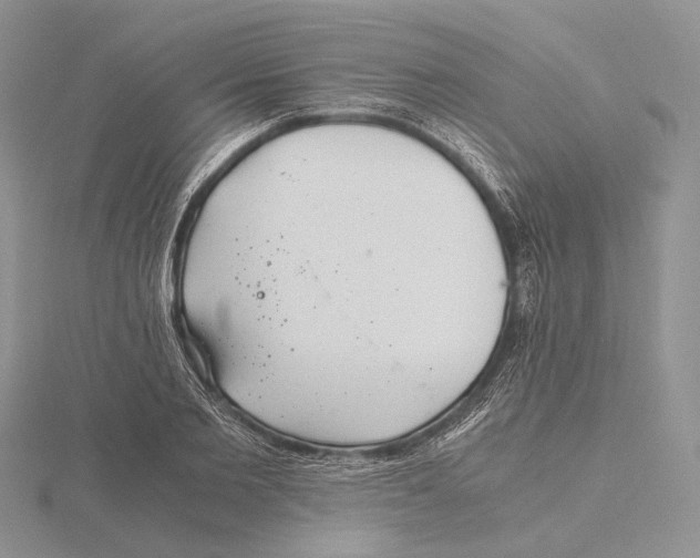 X0000115640885200912081102