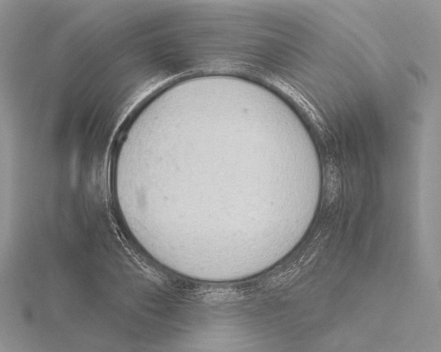 X0000115640886200912081102