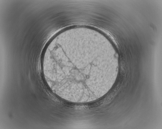 X0000115640887200912081102