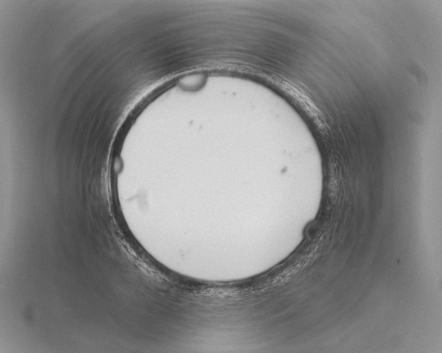 X0000115640888200912081102