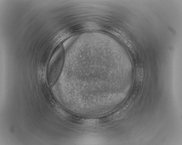 X0000115640889200912081102