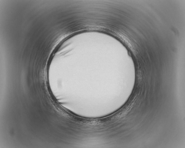 X0000115640891200912081102