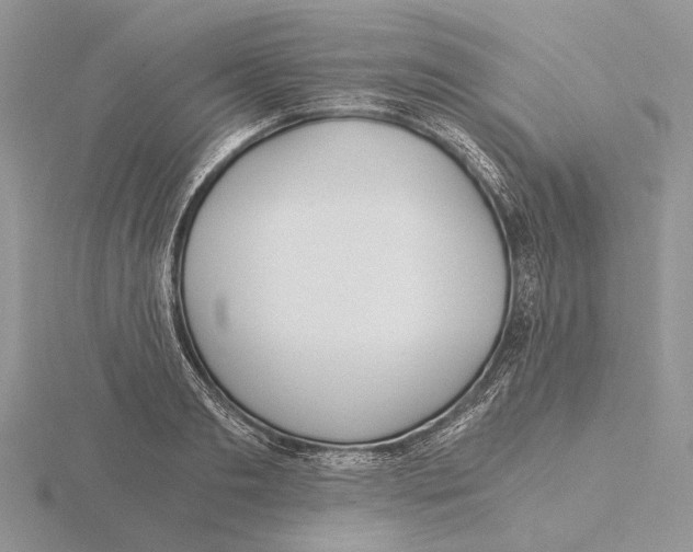 X0000115640893200912081102