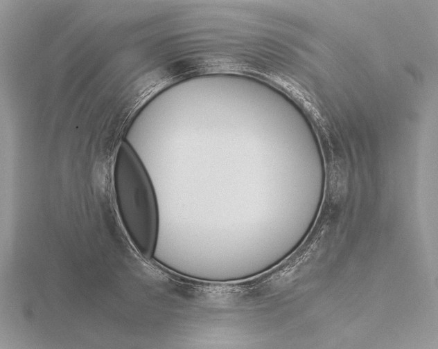 X0000115640897200912081102