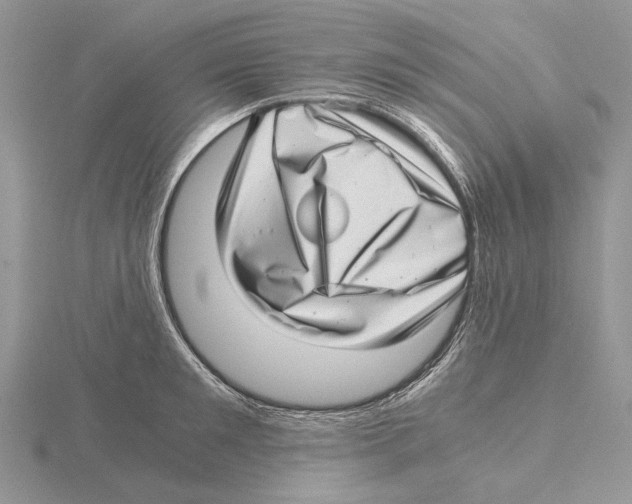X0000115640901200912081102