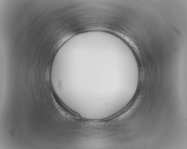 X0000115640905200912081102