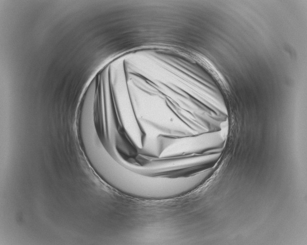 X0000115640908200912081102