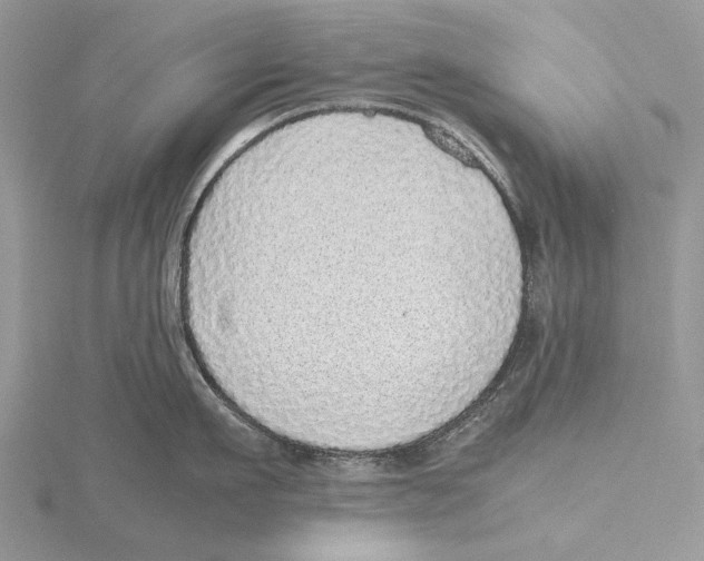 X0000115640911200912081102
