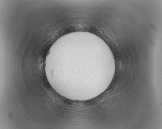 X0000115640914200912081101