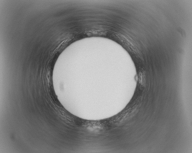 X0000115640915200912081101
