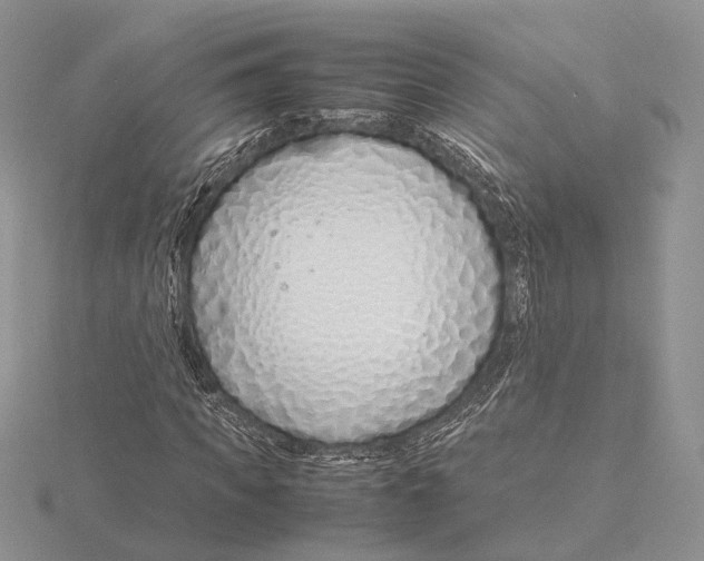 X0000115640917200912081101