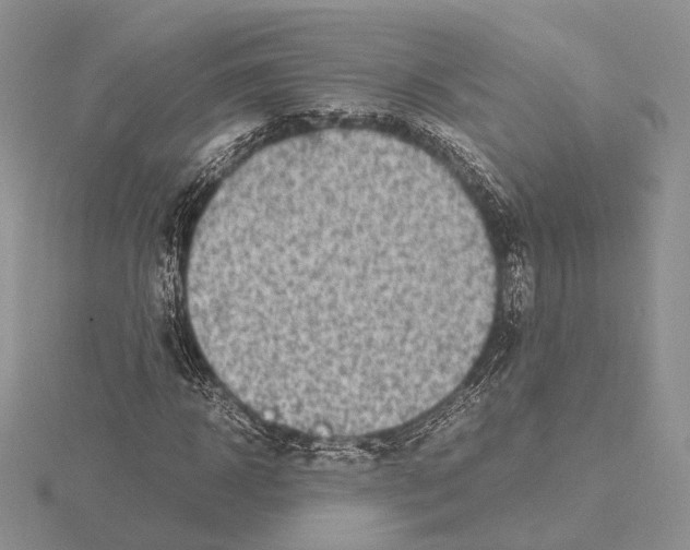 X0000115640918200912081101