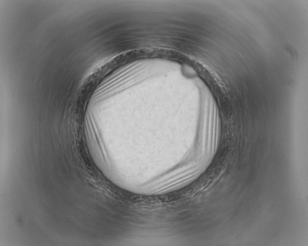 X0000115640919200912081101