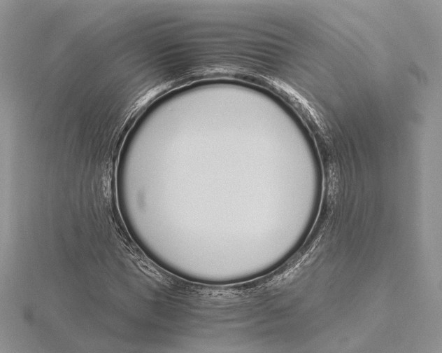 X0000115640921200912081101