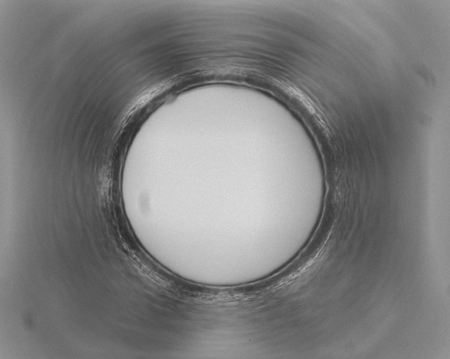 X0000115640922200912081101