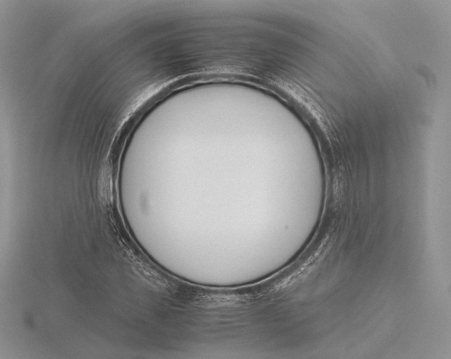 X0000115640925200912081101