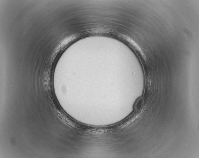 X0000115640930200912081101