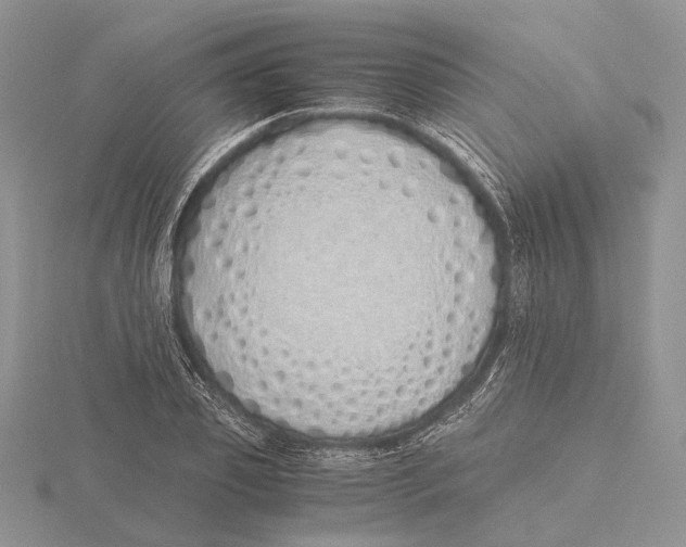 X0000115640933200912081101