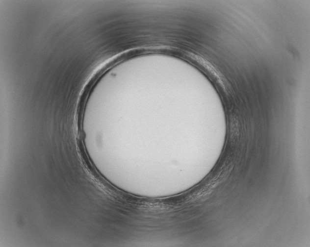 X0000115640935200912081101