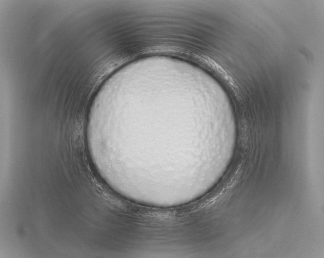 X0000115640937200912081101
