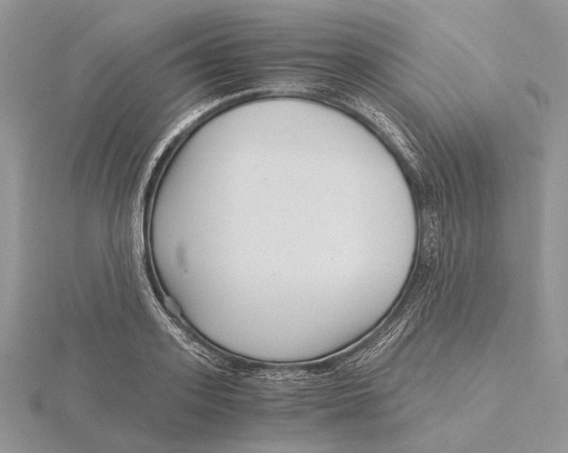 X0000115640939200912081101