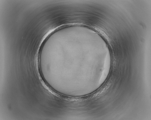 X0000115640941200912081101