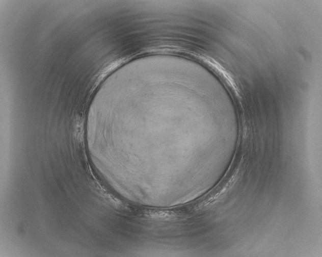 X0000115640945200912081101