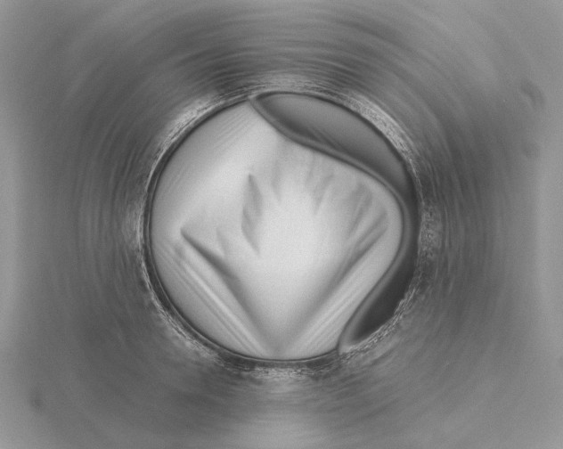 X0000115640946200912081101
