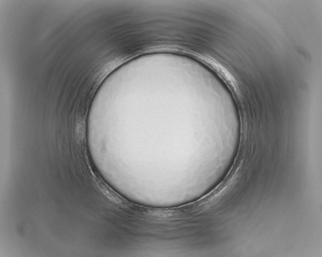 X0000115640953200912081101