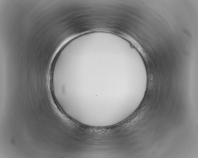 X0000115640955200912081101