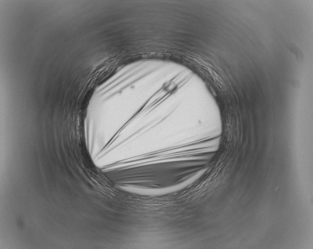 X0000115640964200912081101