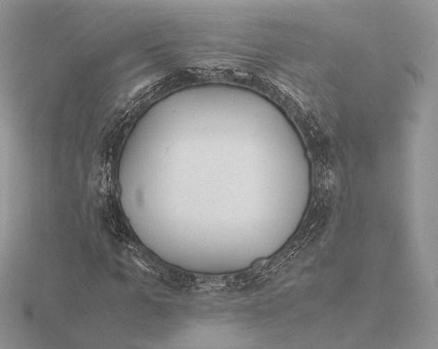 X0000115640965200912081101