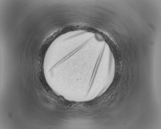 X0000115640967200912081101
