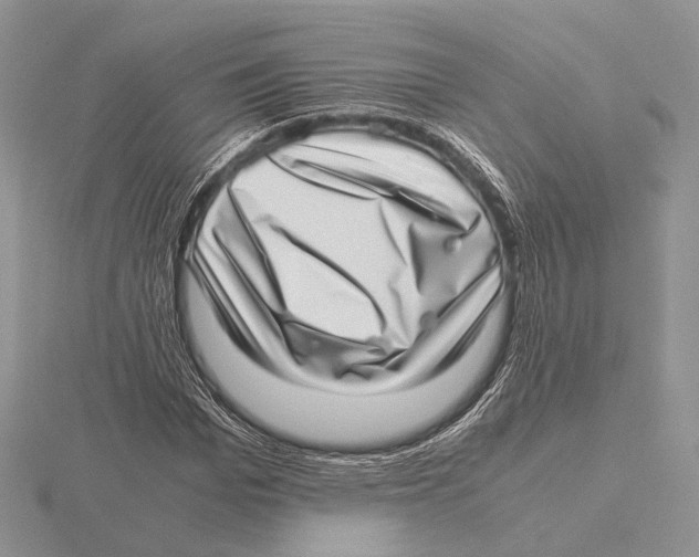 X0000115640969200912081101