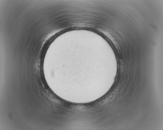 X0000115640971200912081101