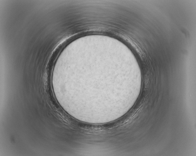X0000115640975200912081101
