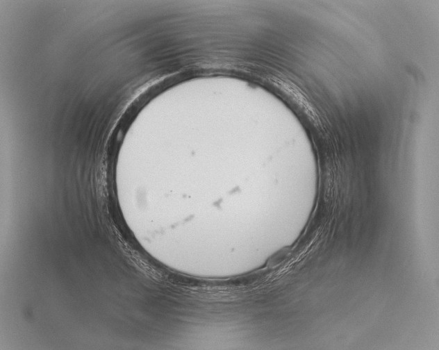 X0000115640976200912081101